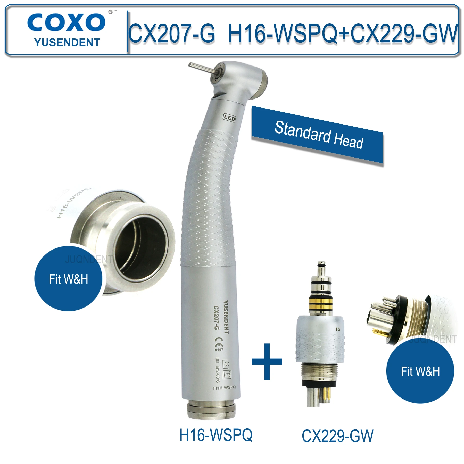 COXO Tandheelkundige Turbine Glasvezel Hoge Snelheid Handstuk Luchtrotor Standaard/Torque Hoofd LED Koppeling 6-pins Fit KAVO NSK Sirona WH - afbeelding 1