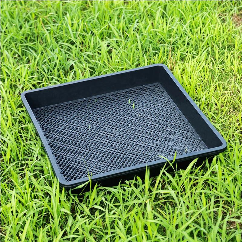 Rectangular Seedling Growing Trays, Multi-use Germination Sprout Tray for Dendrobium Maca Seed Cultivation, Garden Plant Seed