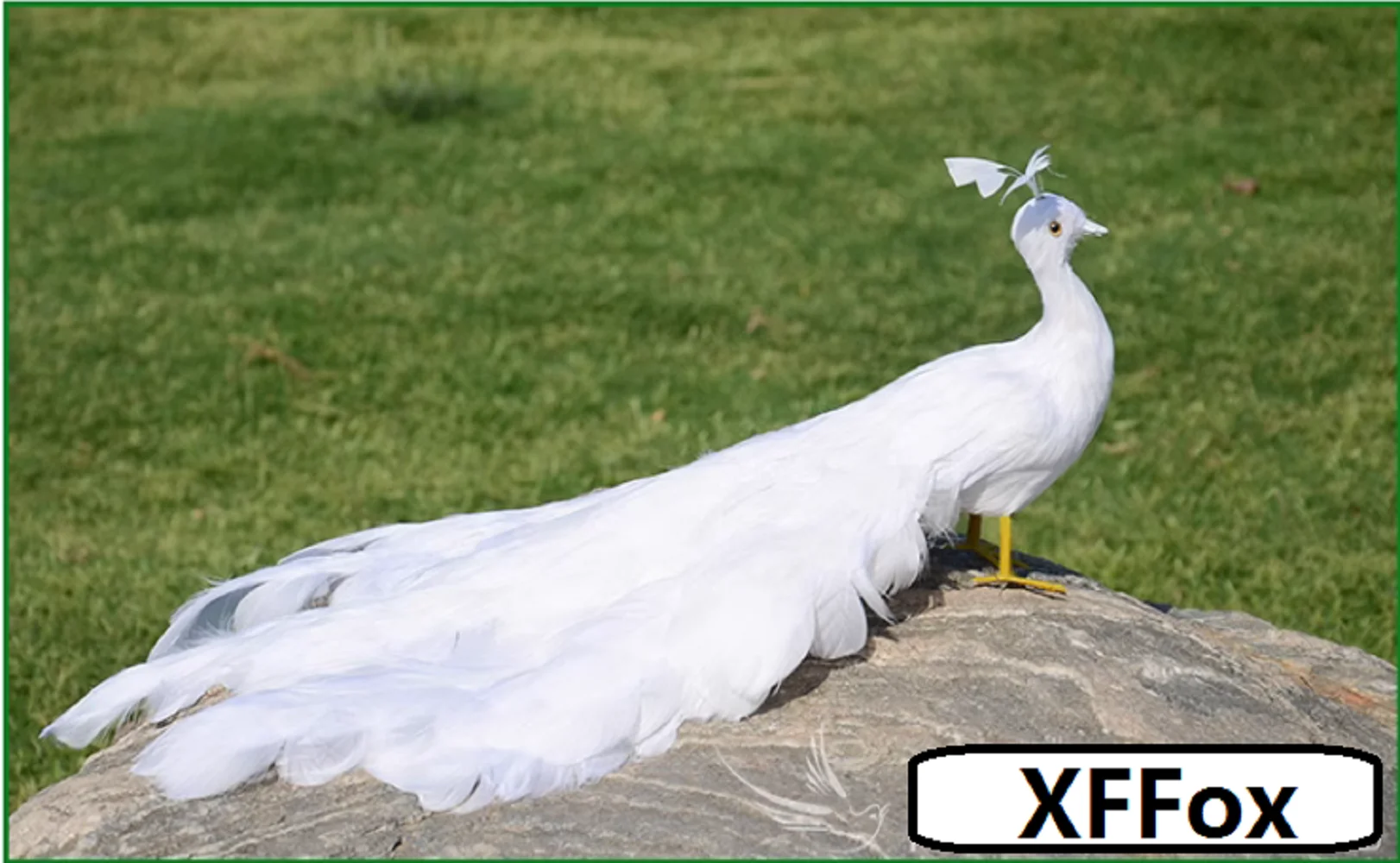 

cute white simulation peacock bird model foam&feather peacock gift about 50cm xf2925