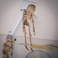 1 magnetic mobile skeleton refrigerator sticker, cute refrigerator magnet, perfect Halloween gift