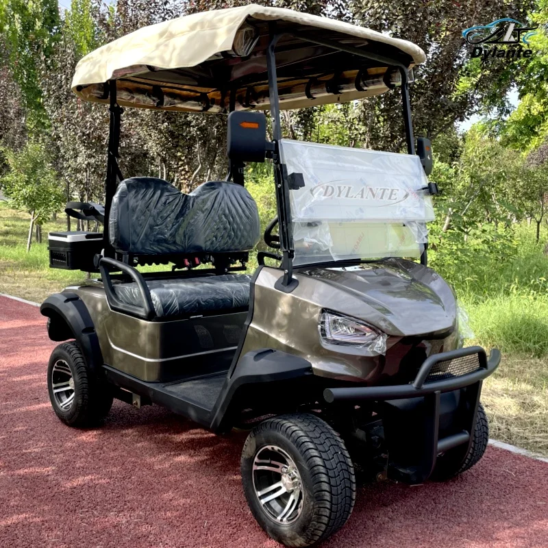 Hot Sale 2 Seater Electric Golf Cart 4 Wheel Disc Brake 10 Inch Display Off Road Hunting Vehicle Driving Range Up To 100 km