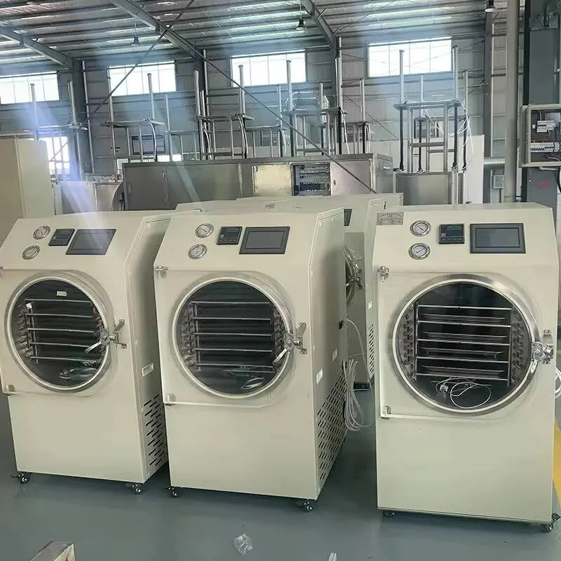 Compact Integrated Design Desktop Household Vacuum Freezer Dryer Household vegetables, fruits, tea, pets