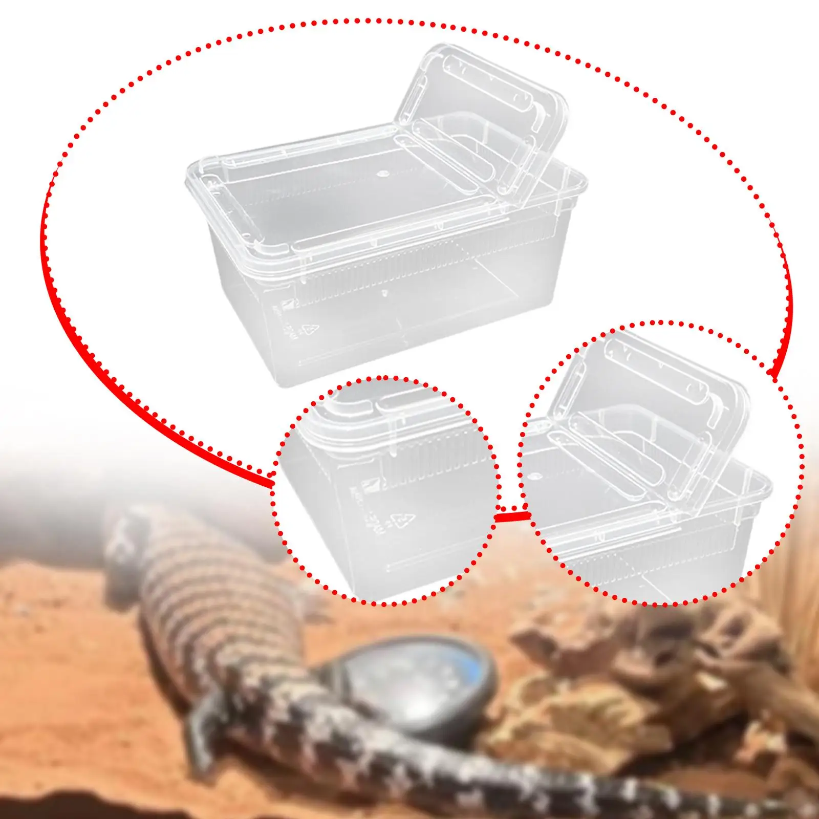 Reptile Feeding Box with Vent Holes Terrarium for Frog Tarantula Lizards