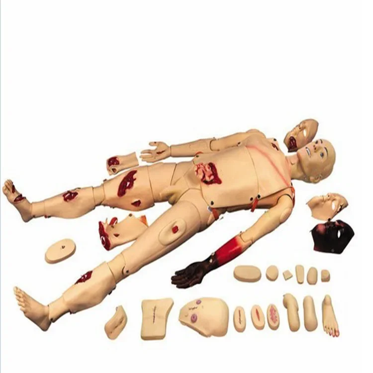 

Provide advanced full-functional trauma caregiver human model nursing training model manikin simulation training