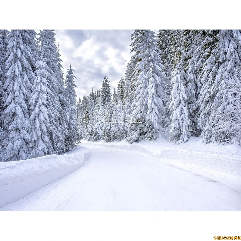 الشتاء الغابات الثلوج الطريق خلفيات للتصوير الفوتوغرافي عدم وضوح المشهد الثلج الطريق شجرة التنوب خلفية الصورة XD-04