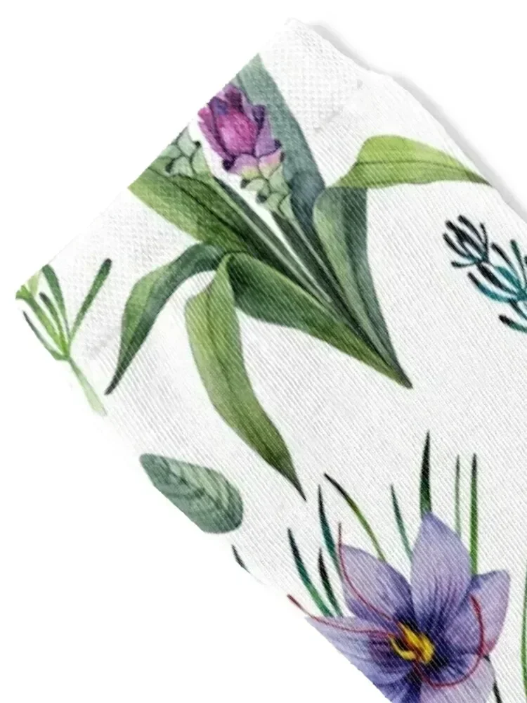 Акварель ботаническая коллекция трав и специй Носки спортивные спортивные носки мужские носки женские