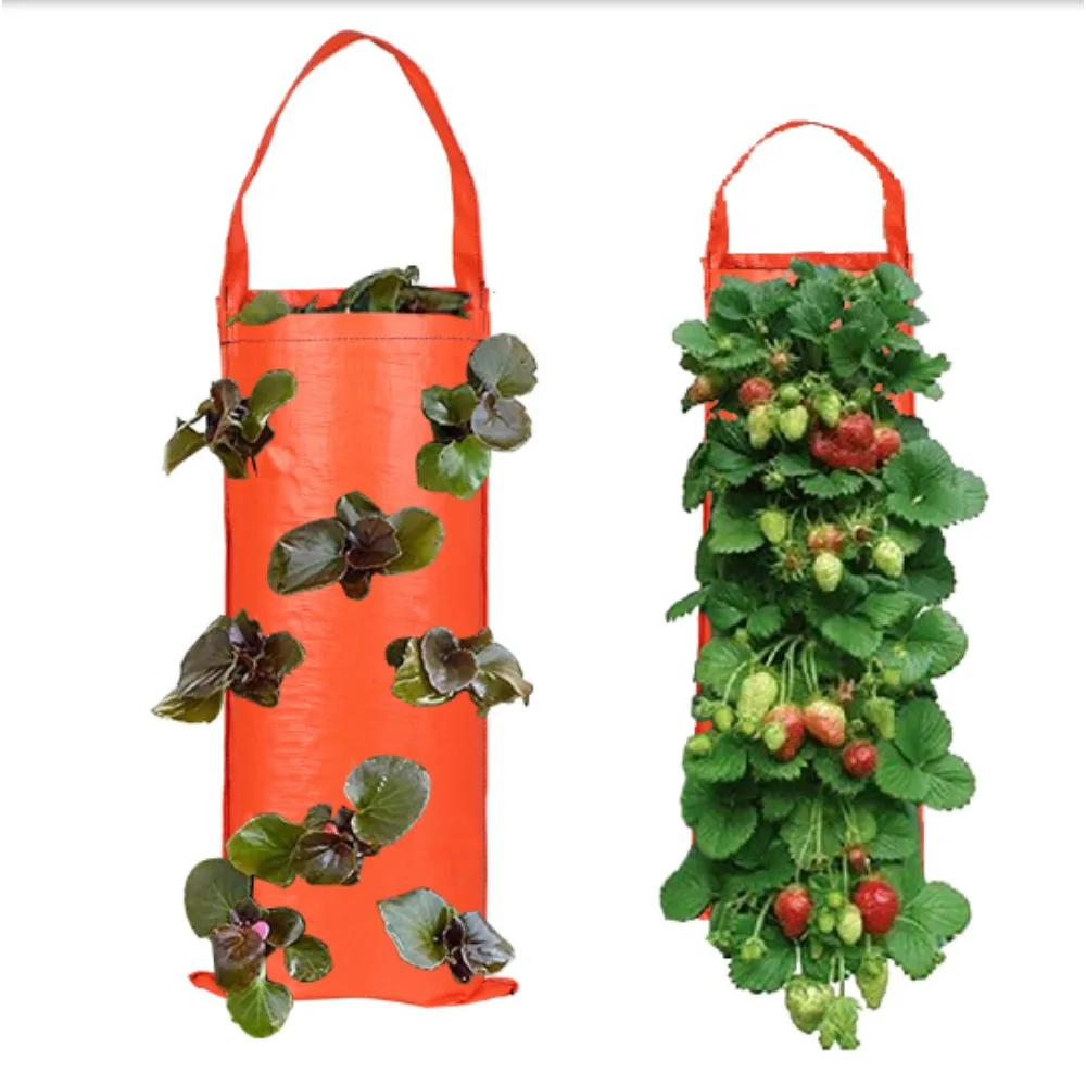 6-Hole Grow Bag Hanging Strawberry Upside Down Planter Tomato Potato Vegetable Flower Plant Grow Bags Garden Decoration