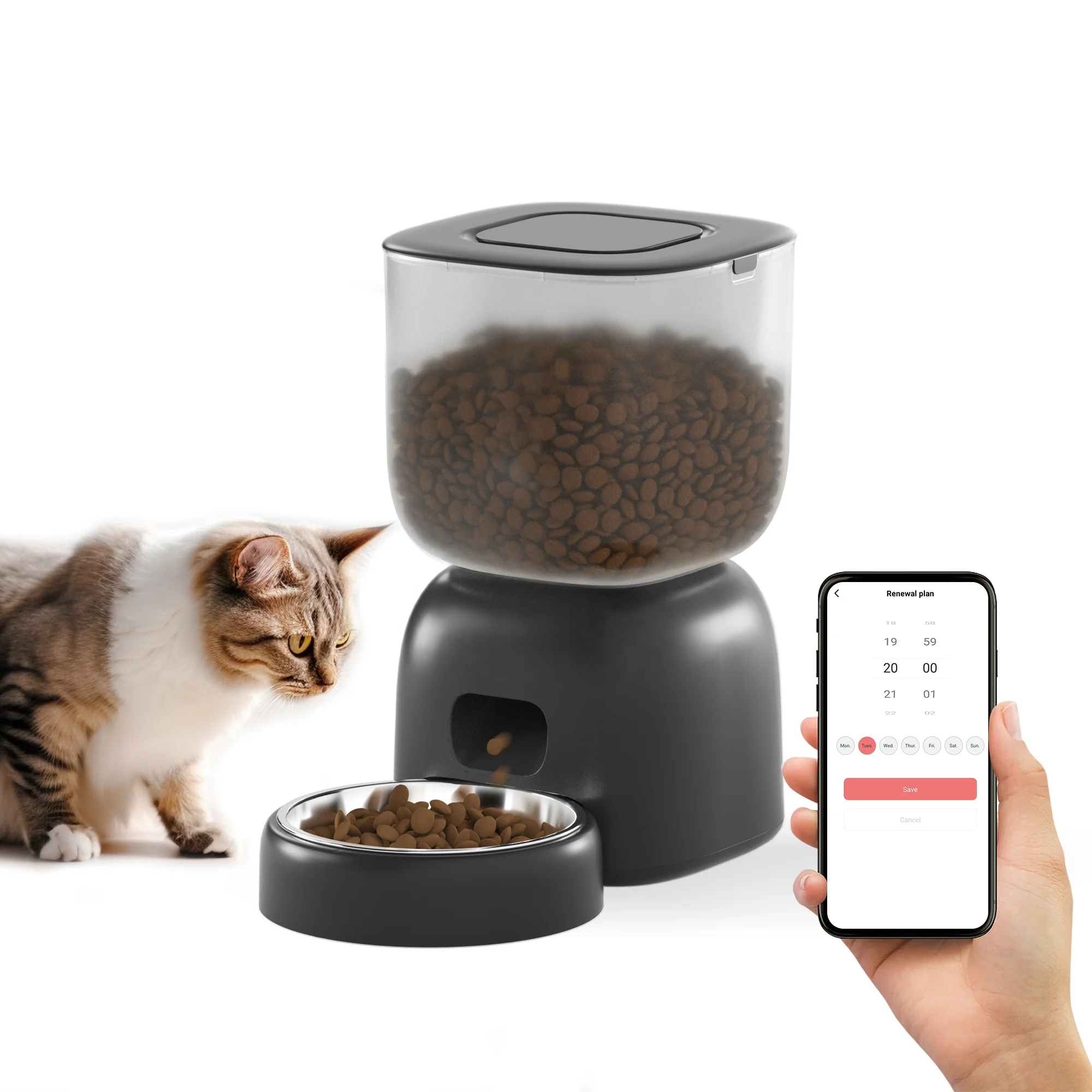 

Petwant Pet Feeder Supplier WIFI Smart 3L Visible 1-4 Meals Dual Power Supply APP Tuya Remote Auto Cat Dog Food Dispenser