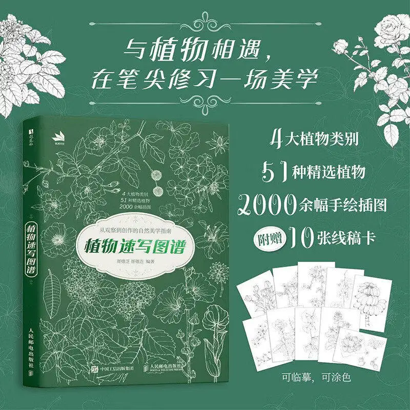 Plant Sketch Atlas 51 Plants Hand‑Drawn Illustrations With Tracing Cards For Flower Sketch Illustration Painting Beginners