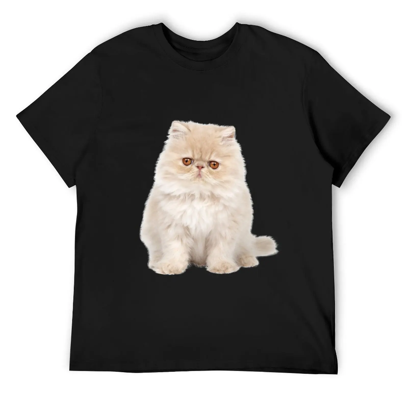 

Persian Kitten Cat Photo T-Shirt animal prinfor boys anime plain graphic t shirts t shirts men