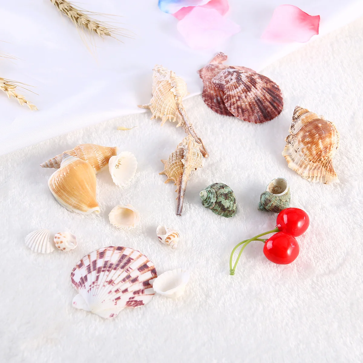 

300G Seashell Set Beach Shells Conches Sea Aquarium Decoration Crafts Seashells Mixed Beach Seashells