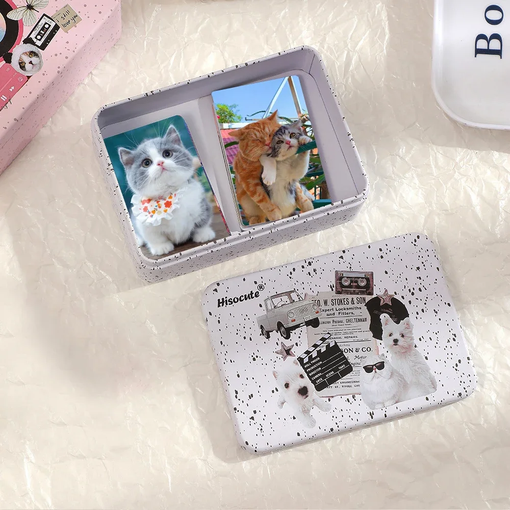 Dog Cat Printing Metal Storage Box Mini Frosted Tinplate Box Storage Jewelry Box Desktop Organizer Sticker School Stationery