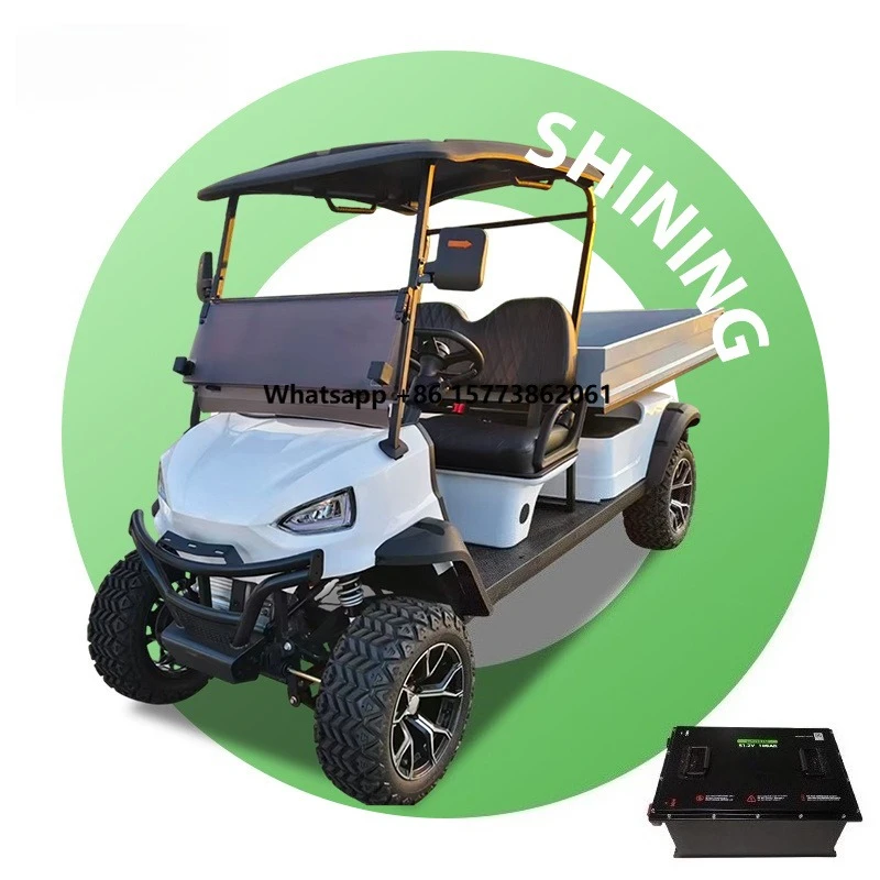 lsv 72V Lithium Battery 4WD Electric Golf Cart Customizable 2-Seater Big Cargo 5KW AC Motor 30-50km/h Speed 70-90km Range
