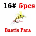 Baetis Para
