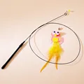 Cute Bird