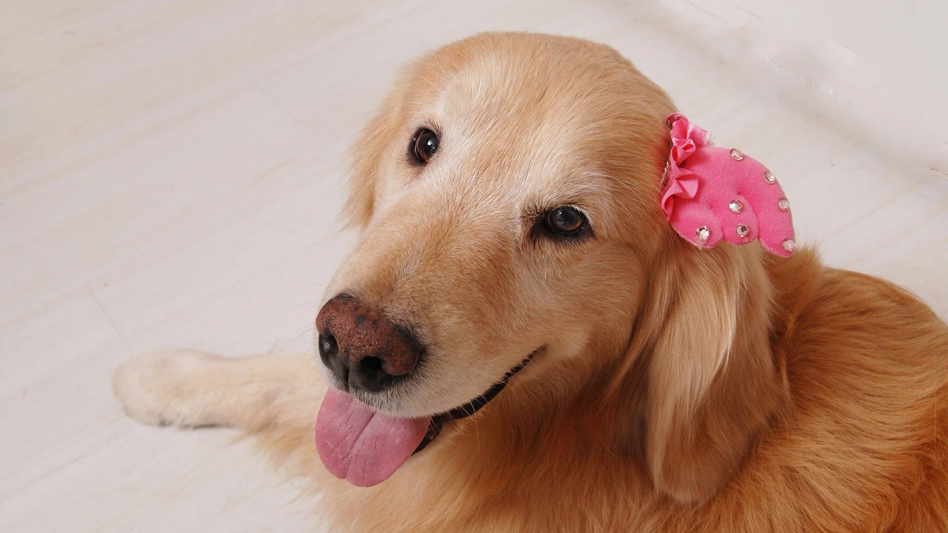 GYS-1 V3 RACING Gyro Drift stabilizzatore per auto CNC custodia in metallo per 1/28 1/18 1/10 1/8 RC auto/barche modello assemblaggio fai da te aggiornamento