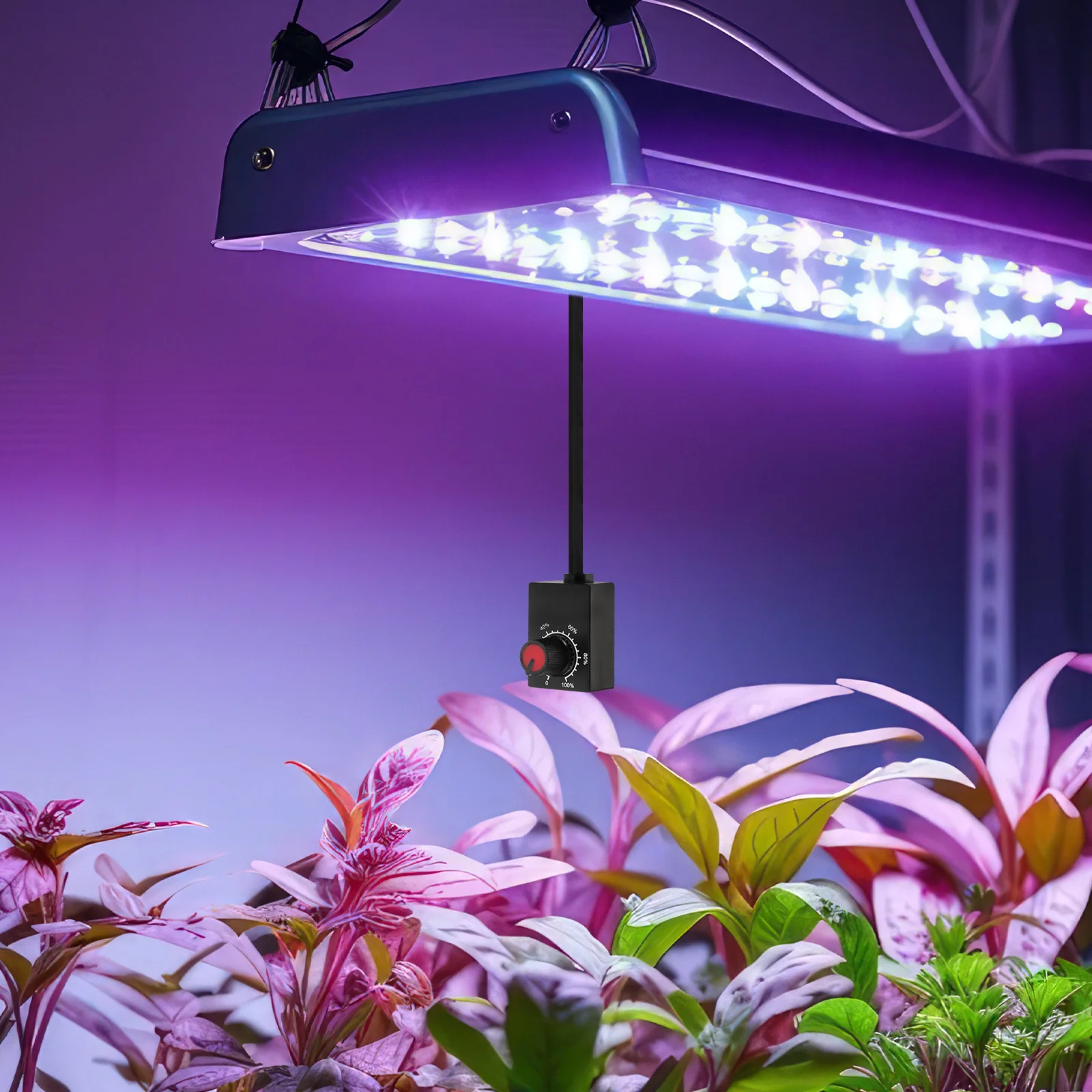 مقبض دوار LED مفتاح باهتة لمصابيح النمو الداخلي مع مقياس يعتم ضوء النبات تحكم الجهد المنخفض Pwm #1