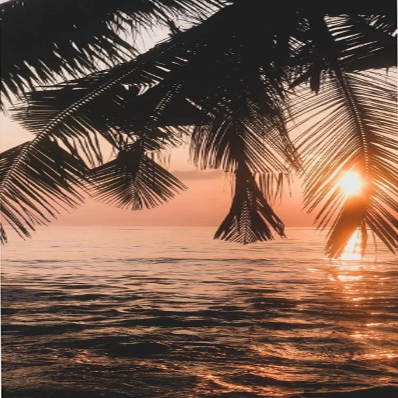 JX PS-1109HB 4.8V-6V 9g 2KG 大トルク プラスチックギア ミニマイクロサーボ 1/18 RCカー 飛行機 ボート オートバイ ロボット Wltoysパーツ用