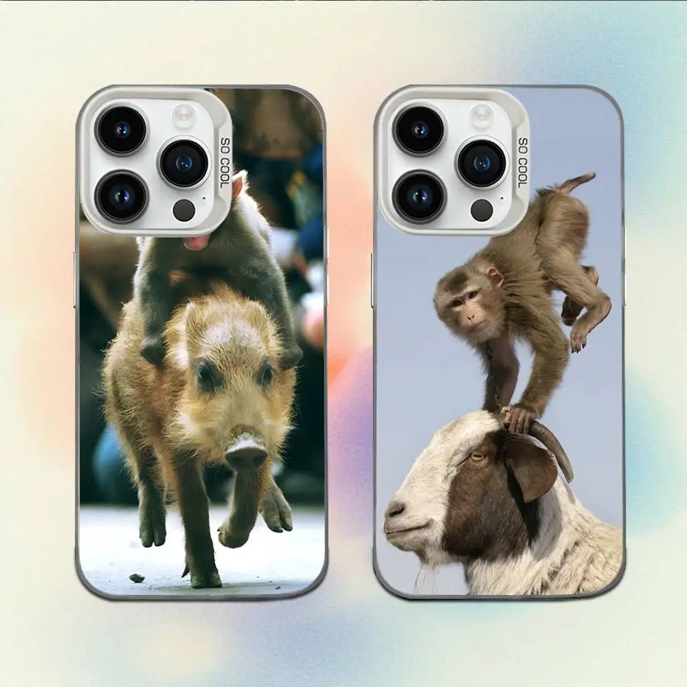 

Monkey Sipping Caprisun Meme Phone Case For iPhone 16,15,14,13,12,11,Mini,Pro,E,MAX White Candy Matte Shockproof Cover