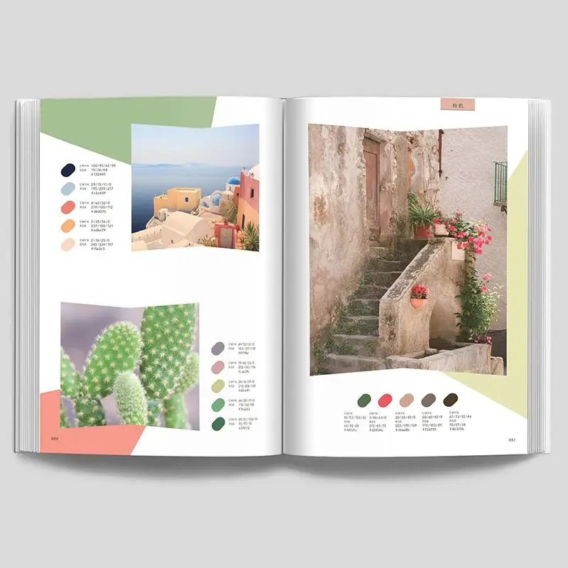 Color Palette Book: 1000 Exquisite Color Schemes Guide To Color Design Palettes Ideal for Illustrators Hand-Drawing Artists Art