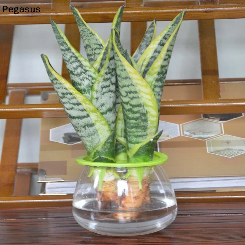 [S]20PCS Reusable Plastic Hydroponic Seedling Pots Breathable Portable Colonization Cup 1/3 Holes Grow Pots Greenhouse Soilless
