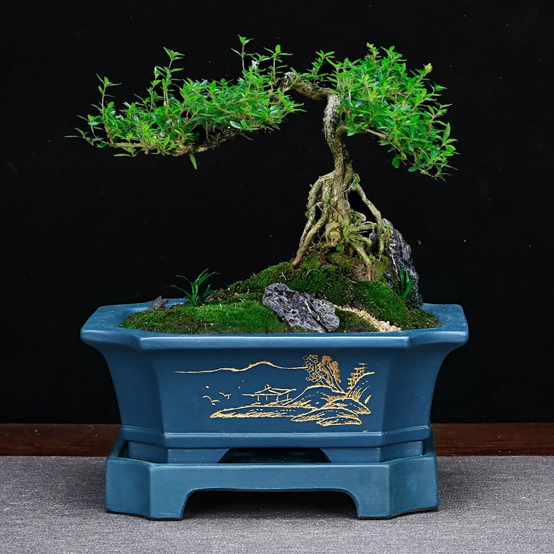 Chinese Antique Rectangular Purple Sand Flowerpot with Base Desktop Bonsai Indoor Orchid Ceramic Pots Living Room Decor Planters