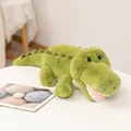 Crocodile
