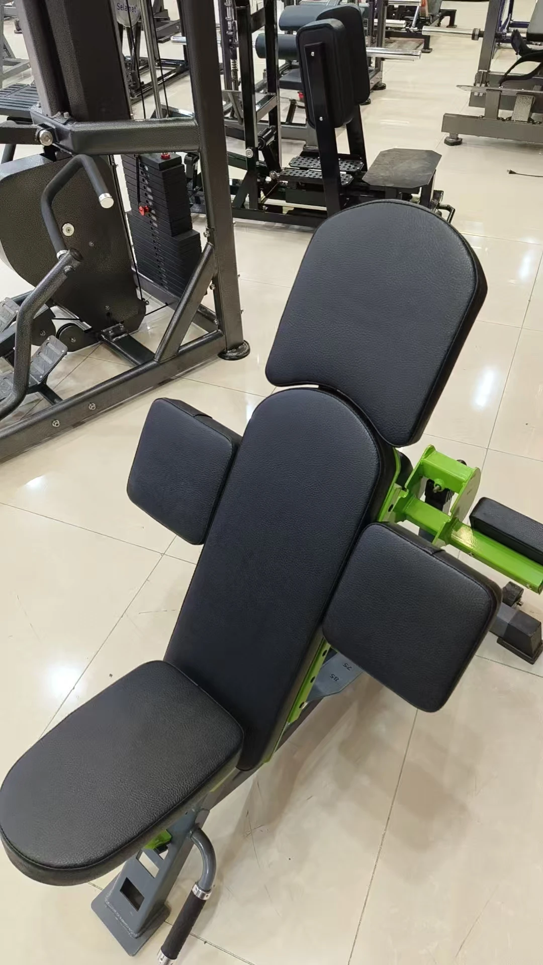 Picture 6: 2025 Multifunctional Double Biceps Short Adjustable Training Beach Kit Is Designed for Professionals.