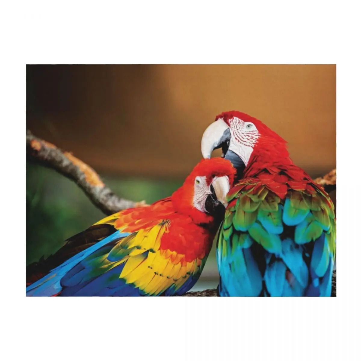 

Macaw couple Throw Blanket Luxury Brand Baby for babies Beach Blankets