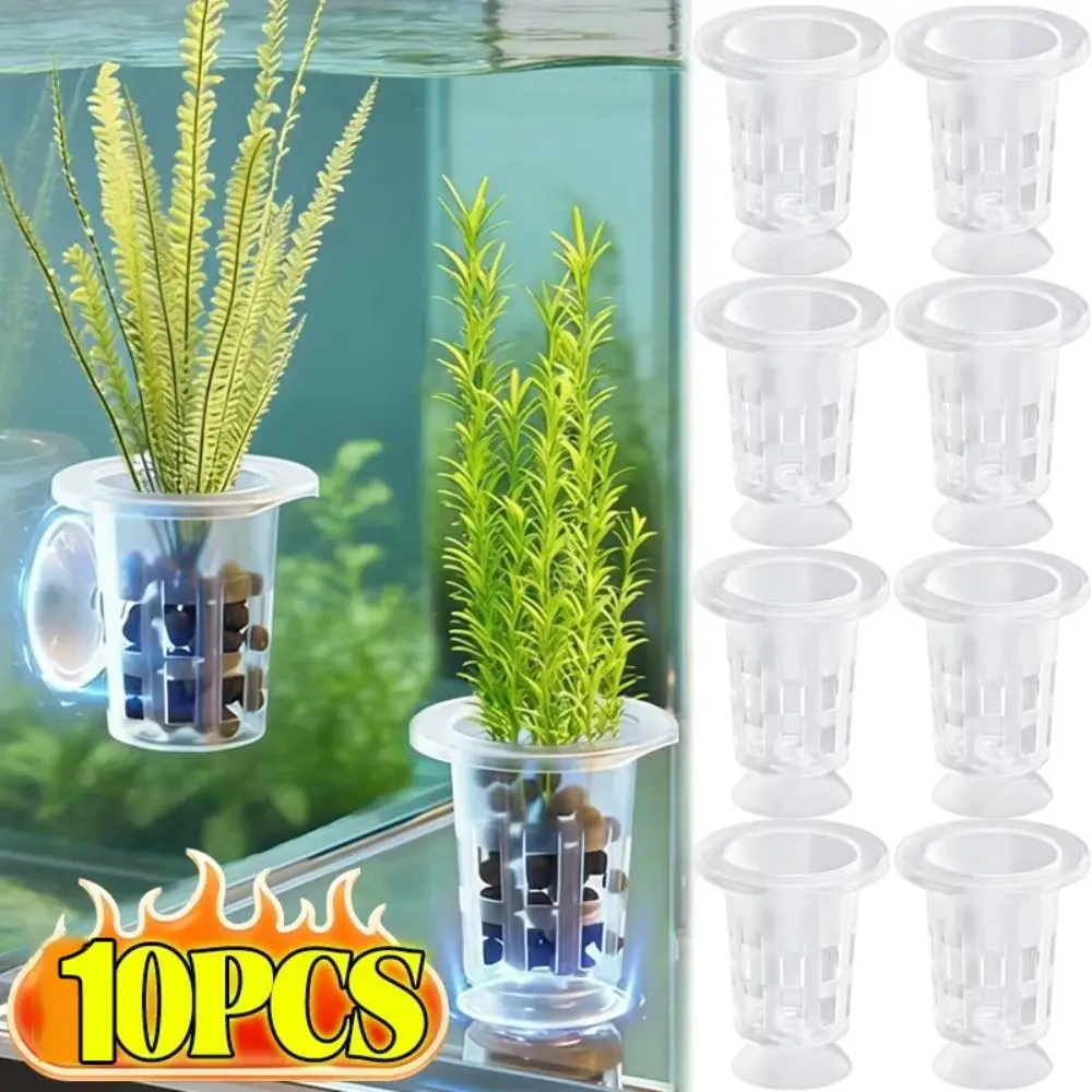 10Pcs Transparent Plant Hydroponic Pot Plastic with Suction Base Water Grass Growth Pots Aquarium Planting Basket