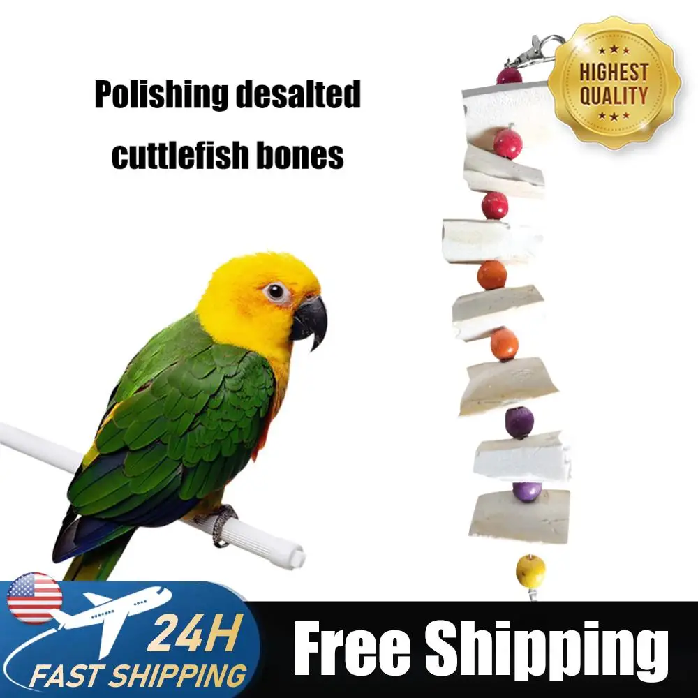 10pcs Cuttlefish Bones Calcium Supplement Pet Bird Food Edible Chewing Cuttlefish Bone Nutritional Supplements Sports Equipment