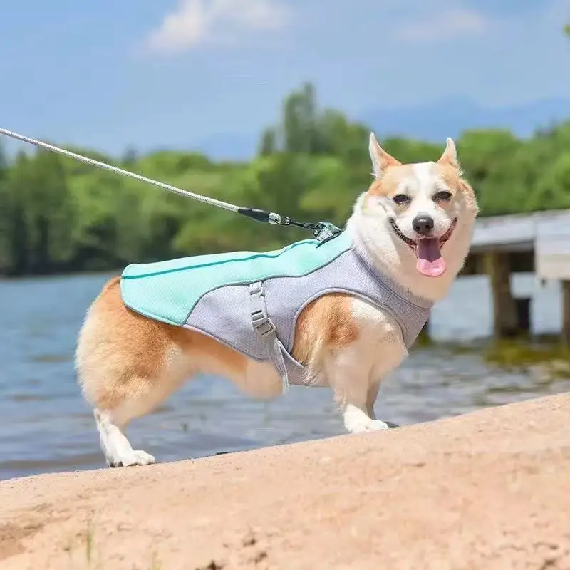 Thumbnail 2 - #69 Pet Harnesses List of Top Picks