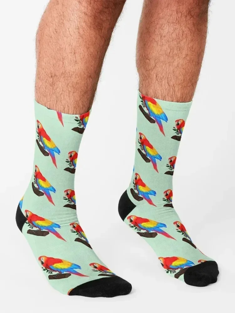 جوارب Scarlet Macaw Socks لكرة القدم الرائعة للرجال والنساء