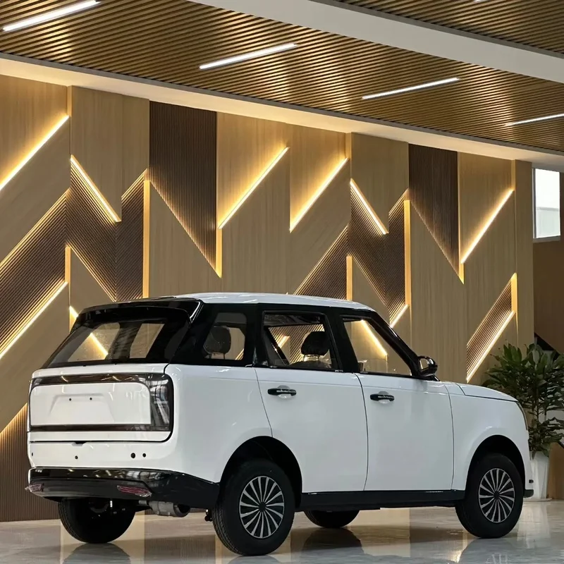 Hot Sale Automatic Gearbox Luxury Large 2025 New Left New Energy Vehicles Car Family Rural and Town Mobility