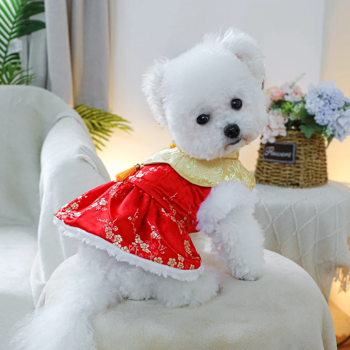 1PC Pet Clothing Cat Winter Velvet Thick Warm Blessing Full of New Year Cotton Dress Suitable for Small and Medium sized Dogs