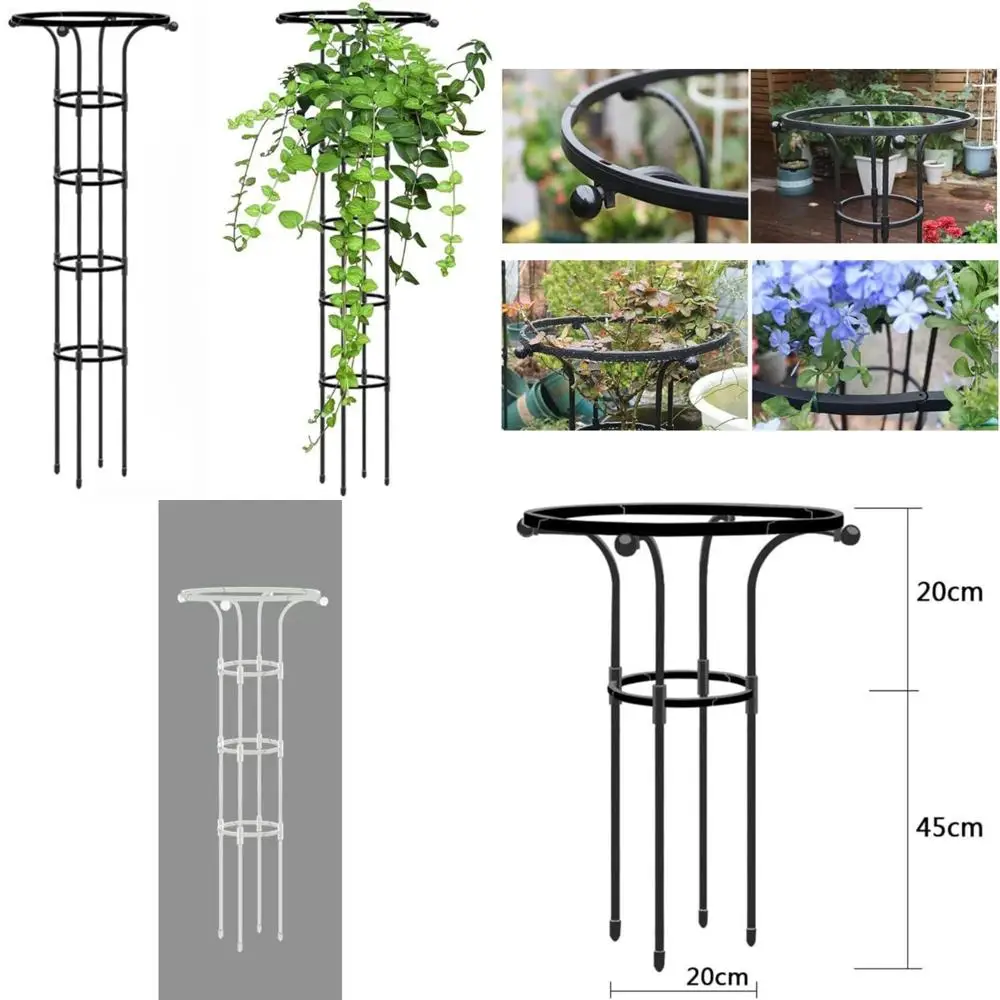 

Решетка для сада на открытом воздухе для поддержки цветов: рама для восхождения розы и клематиса