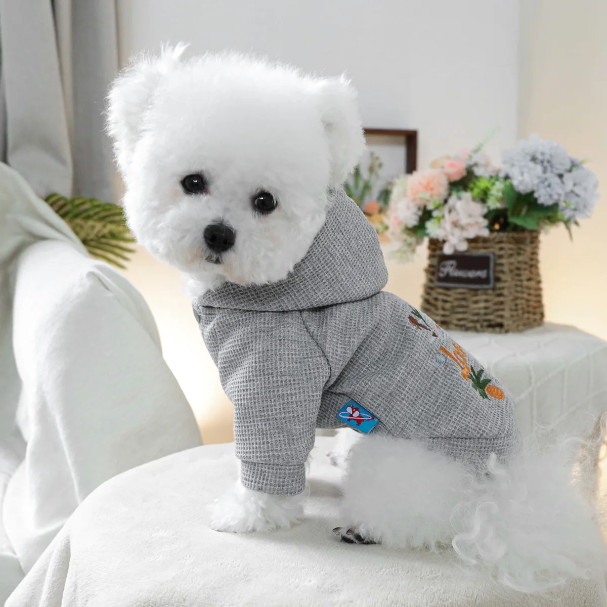 1PC Pet Clothing Spring and Autumn Grey Sunshine California Hat Coat Suitable for Small and Medium sized Dogs