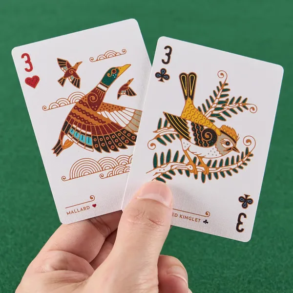 Spielkarten mit Vogel in der Hand – 54 Stück Karten, Kunstdeck, einzigartige Vogellustrationen, Spielkarten für Sammler – Detail 3