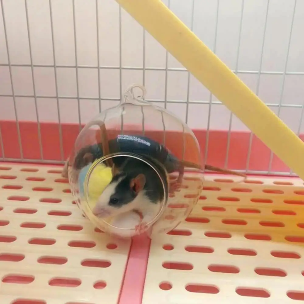 Hamster Cages Transparent Spherical Small Pet Glass Cooling House Bed Fill Hanging Cage Nest Box Case Small Pet Supplies