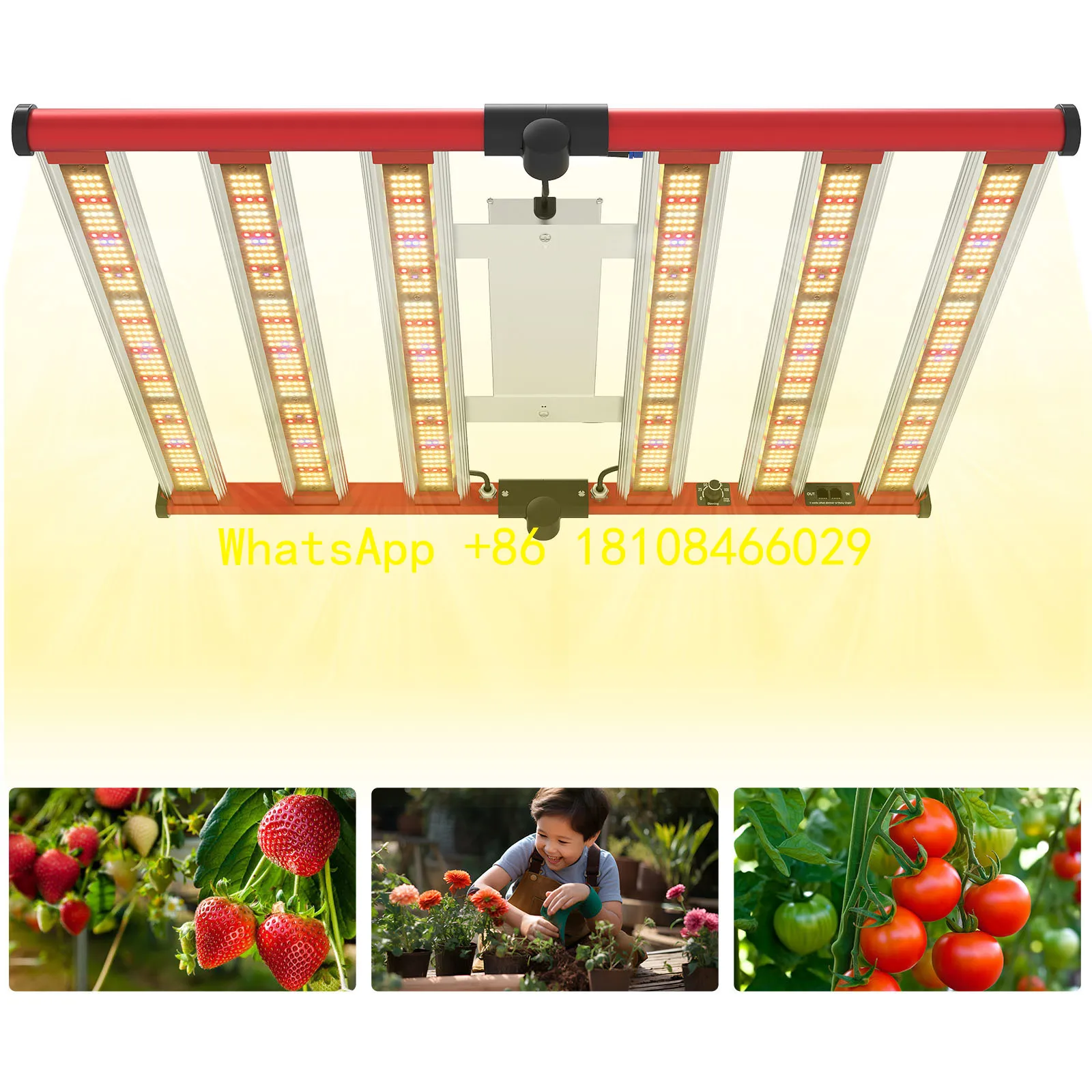 

ydroponic Bloom Application Aluminum Lamp Body 320W Indoor Plant LED Grow for Light Full Spectrum LED for Greenhouse H