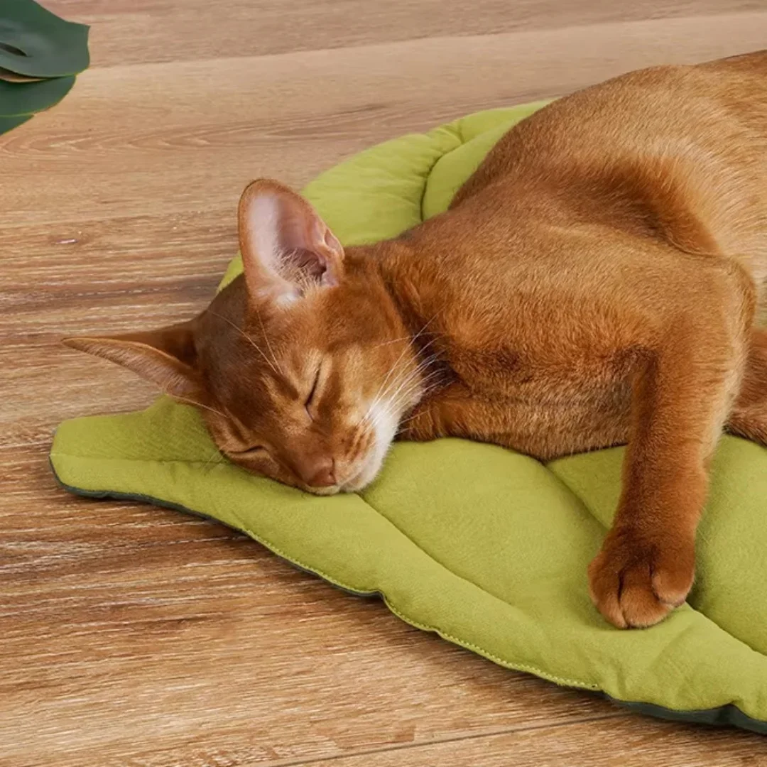 

Cat Mattress Leaf Shaped Winter Soft Pet Pads Warm Cotton Bed Washable Kitten Sleeping Blanket Double Side Mat Cat Accessories