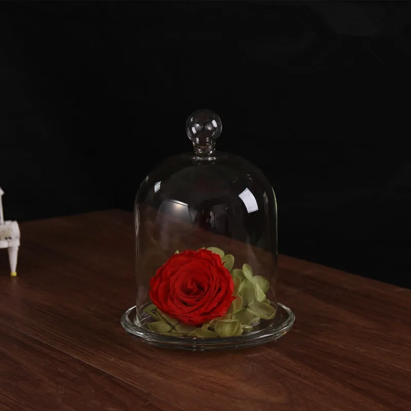 2sets/pack 10*12cm Different Top Glass Base Dome Vase Home Decoration DIY Friend Favor Gift Wedding Live Prop Glassware Supplies