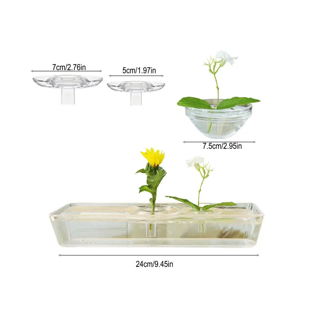 Glass Bowl Hydroponic Floral Arrangement Holder Transparent Acrylic Desktop Decoration Multifunctional Plant Container for Home