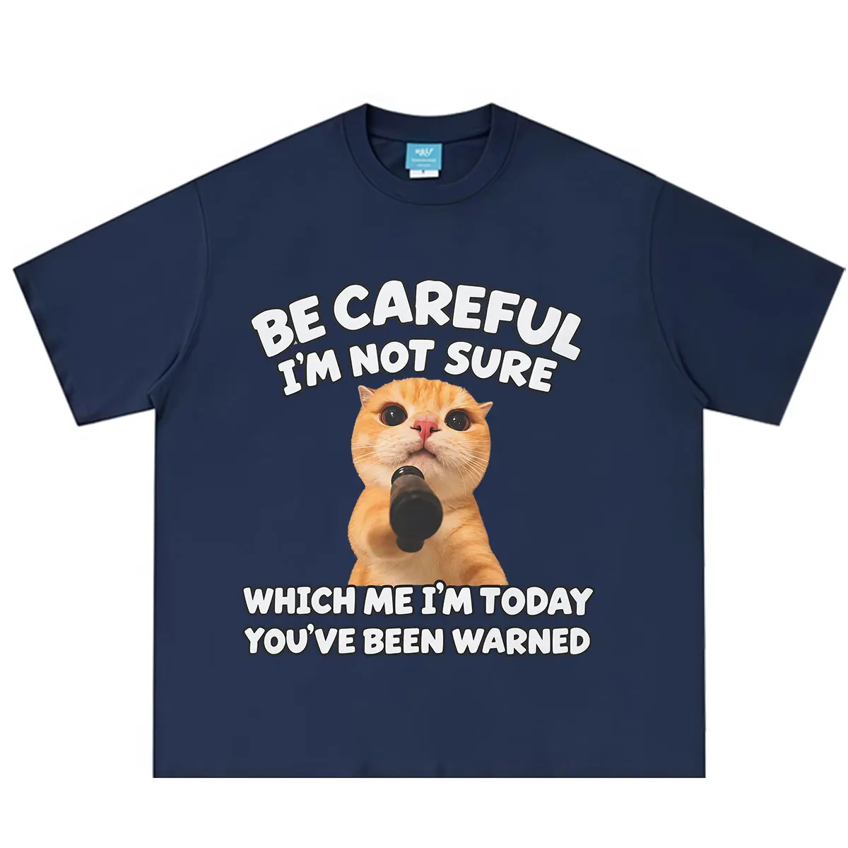 Be Careful I'm Not Sure Cat Face Cute Funny Cat TShirt Men Women Fashion T-shirt Short-sleeved Loose  Casual Oversized T-shirts