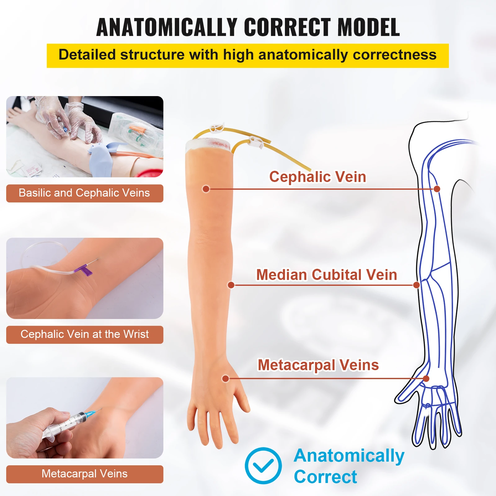 VEVOR Phlebotomy Practice Kit IV Venipuncture Intravenous Training High Simulation Arm Kit for Students Nurses and Professionals