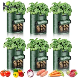 Sacos crescentes de plantas de jardim, Plantador Vegetal PE, Tecido DIY Grow Pot, Saco De Cebola De Batata, 3 5 7 10 Galões