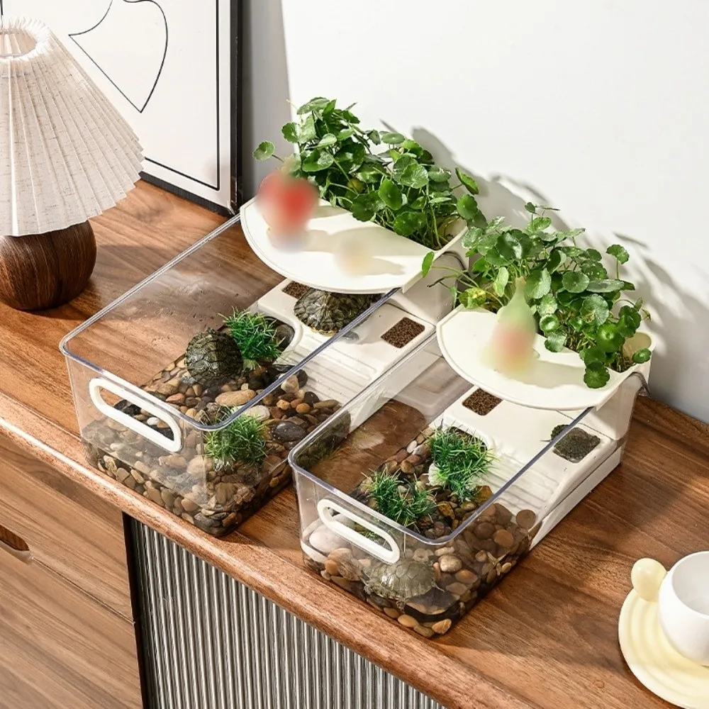 

New Plastic Turtle Tank Transparent Multi-functional Turtle Habitat Easy Clean Large Capacity Small Pet Tank for Amphibian