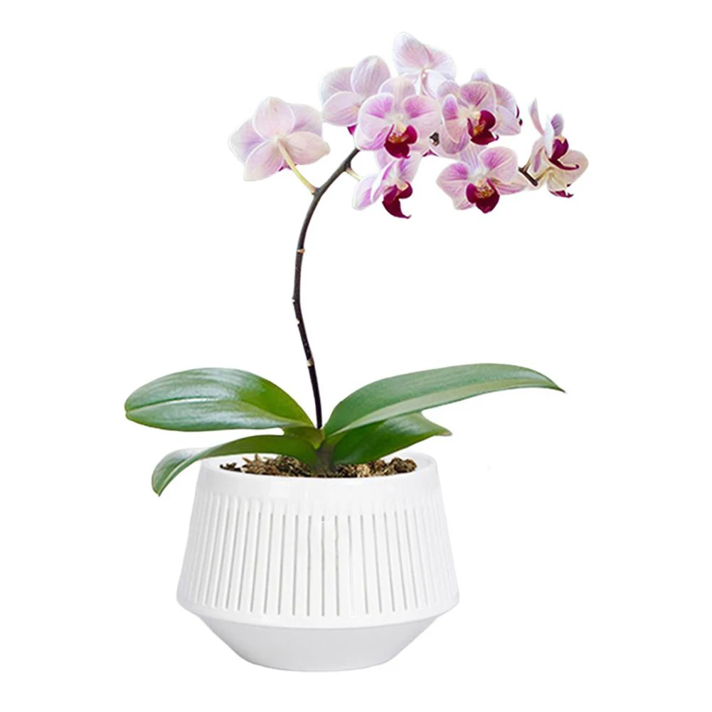 Orchid Pot Breathable Resin Pot Optimal Airflow Design Promotes Healthy Growth For Garden Use Breathable Flower Pot For Orchids