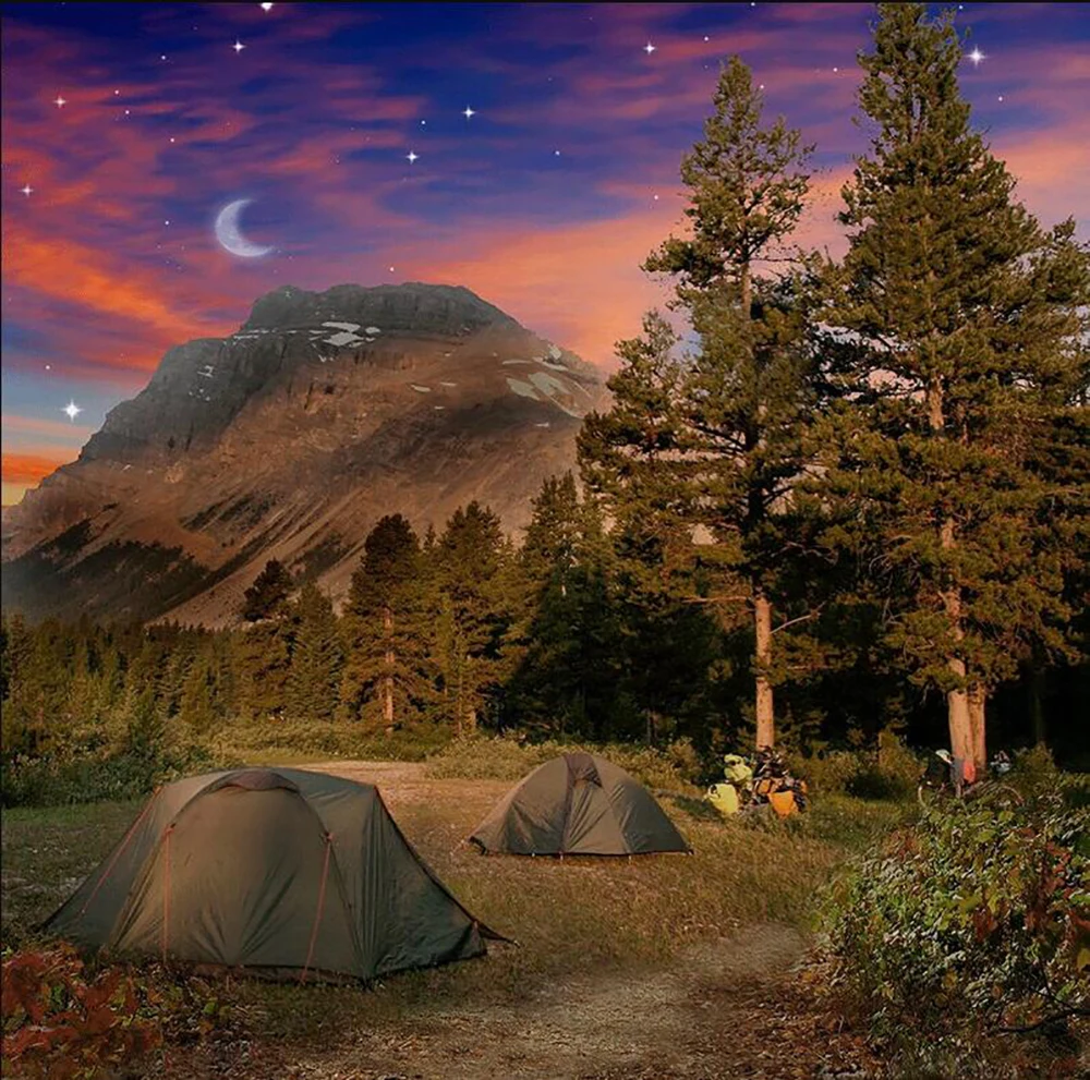 

Camping camper camp Campsite Backpacking Trees Hiking Mountains wood Outdoor backdrop party photography backgrounds