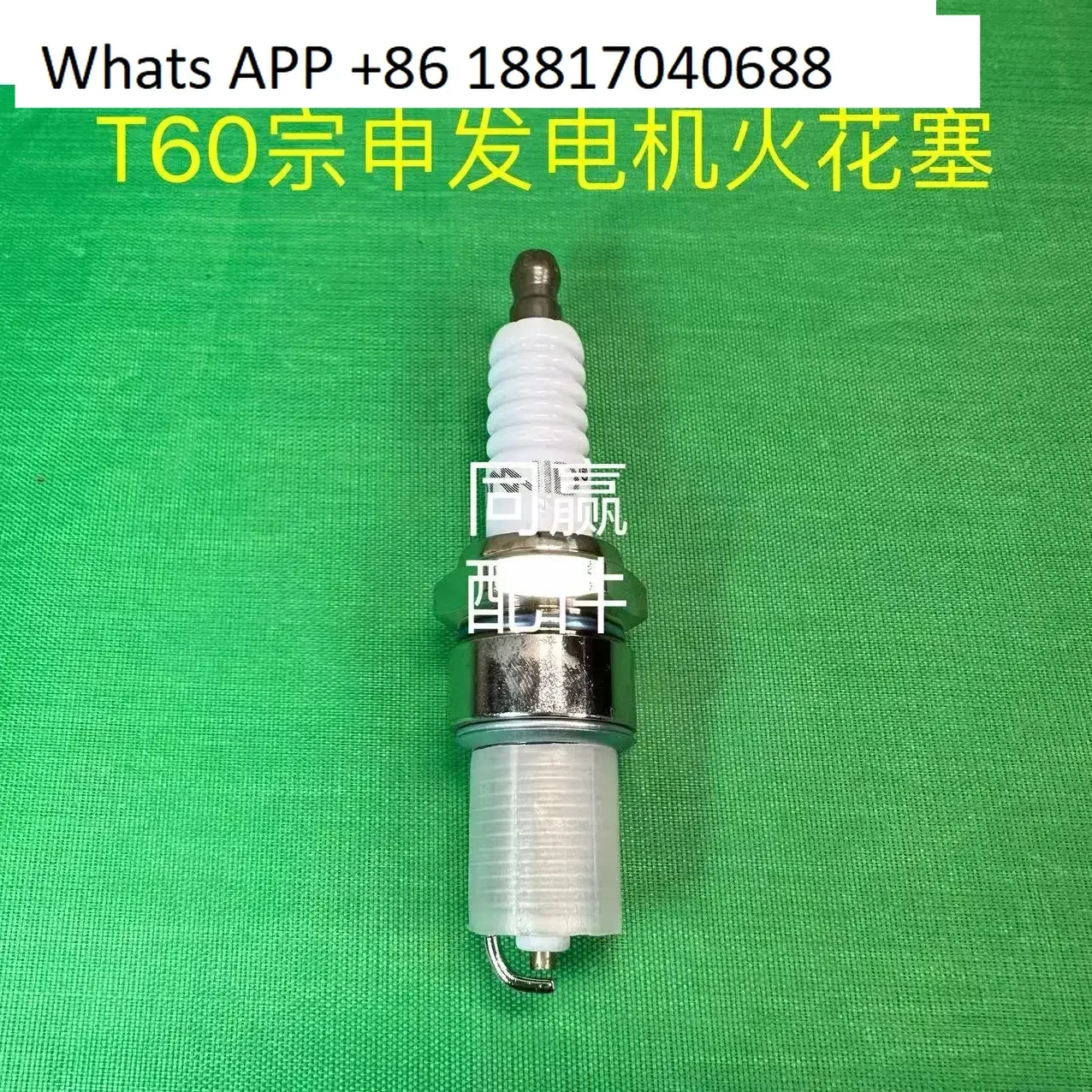 T40 T20P T50 T25 T60 T25P Runtong/Zongshen Universal Generator Spark Plug